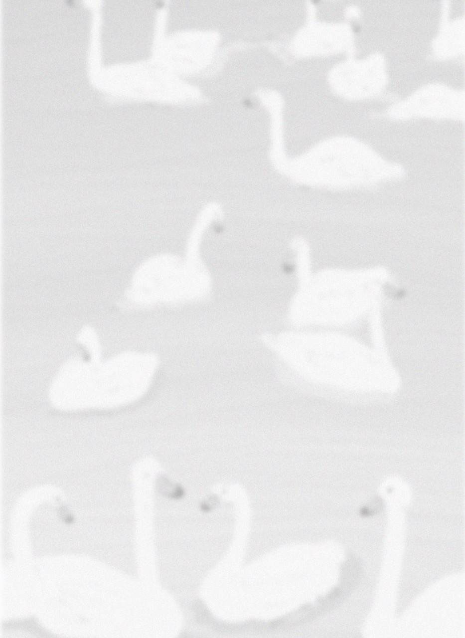 narratives journal_28 Large